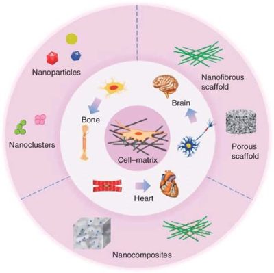  Alginate: Biomatériau Polyvalent pour des Applications de Regenerescence Tissulaire Exceptionnelles !