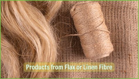  Flax: Une Exploration des Propriétés Extraordinaires de cette Fibre Ancienne !