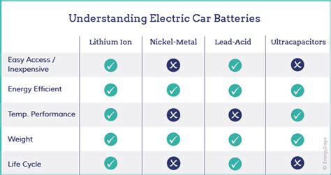 Juncus: Applications en Batteries de Véhicules Électriques à Haut Rendement!