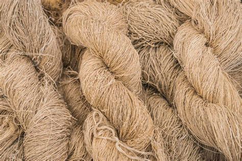  Jute, une fibre naturelle durable pour le textile et la fabrication de cordages !