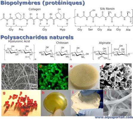  Lignin: Le Biopolymère polyvalent pour une industrie du futur durable!