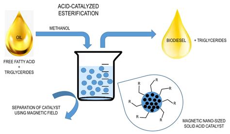  Méthanol: Solution miracle pour la production de biodiesel et d’autres produits chimiques essentiels ?