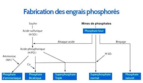  Urea: Un allié précieux dans la fabrication d’engrais et la production de résine