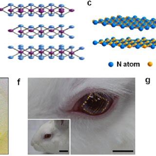  Yttrium: La clé pour une nouvelle génération de technologies optoélectroniques et énergétiques ?